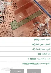  1 10 دنمات للبيع في منطقة الدجنيه