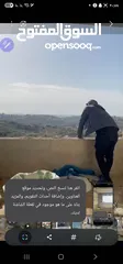  7 شقه للبيع بير زيت  مقابل الجامعه شقه سكنيه عظم واقع اسكان الطله   الغربيه
