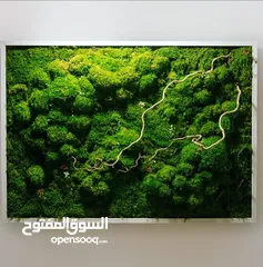  4 Moss walls for houses and office + Gallery 1 art work