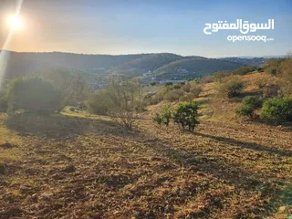  1 3400م للبيع صروت ابو خشيبة خلف اسكان الداود بالقرب من شارع بيرين الرائيسي