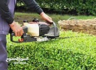  6 Garden repair and cleaning working service