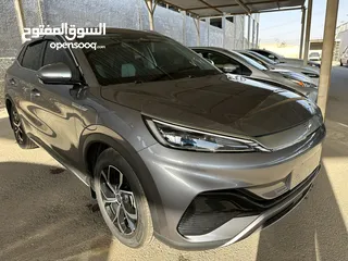  3 ‎‏ Yuan plus champion بي واي دي يوان