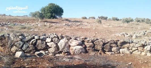  9 ارض للبيع في عربونه