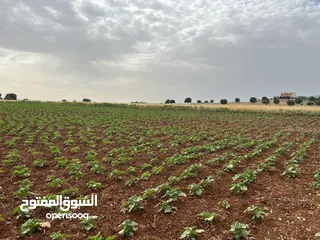  4 ‏أرض للبيع 3دونم 500م في السلط الصبيحي بيوضة الشرقيه بسعر ممتاز جدا