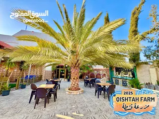 21 مزرعة قشطة للايجار في بلعما - مزرعة 5 STAR - مزرعة VIP - مزرعة للايجار - مزارع للايجار