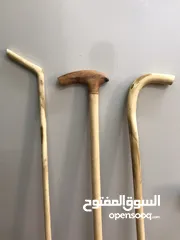  5 عصا عتم الجبل الأخضر.. اقرا الوصف