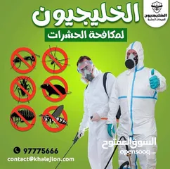  1 شركه الخليجيون مكافحة حشرات والقوارض