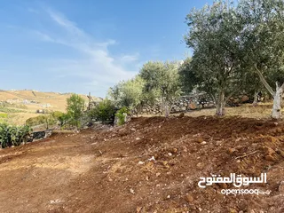  2 بسم الله الرحمن الرحيم ارض للبيع في بيرين حوض القصبات مساحه 543م2 جميع الخدمات على شارعين مزروعه