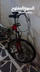  3 بسكليت ايطالي البيع