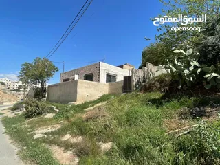  4 منزل مستقل للبيع ارض /حجه/ مش قوشان  بسعر حرق طبربور ضاحيه الصفا