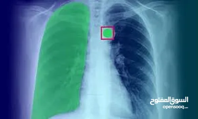  7 تدريس المواد الطبية لطلاب الطب والأسنان والصيدلية وعمل البحوث الطبية وتحليل البيانات