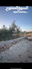  3 ارض مميزه وجاهزه