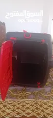  3 لنقل القطط