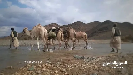  15 متوفر لدينا رحلات يومية من كسلا الي بورتسودان -عطبرة-الخرطوم-امدرمان -سنار - كوستي -مدني-القضارف .