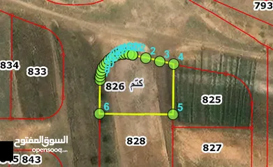  4 قطعة ارض مفروز بكوشان مستقل وسغر مغري جدا جدا تصلح للاستثمار