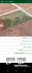  1 اراضي للبيع بعيد عن عمان 65 كيلو محافظه المفرق