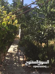  3 مزرعة في جرش للبيع