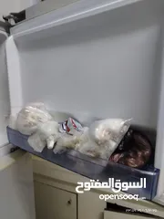  1 تلاجه بيكو لون سلفر ما شاءلله عنها