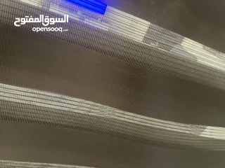  1 برداية زيبرا بني