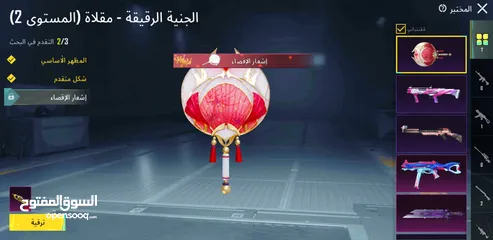  7 حسب بوبجي