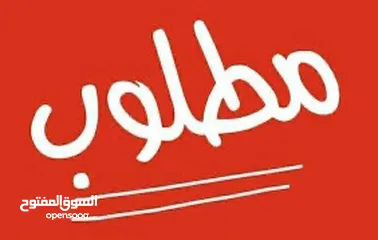  1 مطلوب جوز او جوزين عصافير حب شغالات واذا اليفات افضل بدون قفاص يكونو بزرقاء