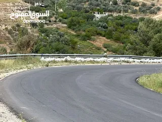  10 استراحة استثماريه للبيع مطله على وادي الريان قوشان مستقل 3،5 دونم مشجرة بالكامل مع مواقف سيارات