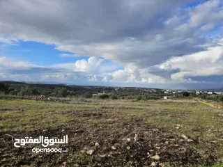  3 نمرتين ارض مساحه 700 متر كل نمره