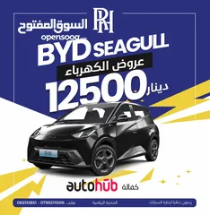  1 SEAGULL   BYD   موديل 2023