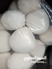  1 جميد كركي النخب الاول  من الكرك