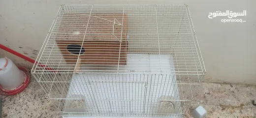  6 Bird cages