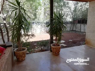  2 شقة مميزة للبيع أو الايجار في ام السماق