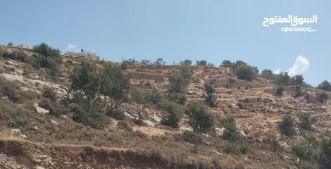  1 ارض( 1027متر )للبيع ع رأس جبل كاشفة ومطلة