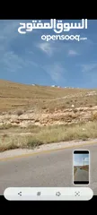  5 ارض للبيع 10 دونمات واجه 100 متر على شارع 20 معبد تبعد عن اشاره بلعما 1500 متر