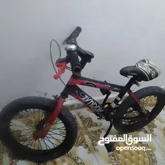  2 بسكليت نمره 16