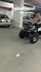  6 دباب جبلي رباعي