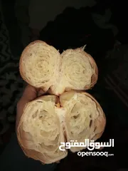  5 بريوشار جزائري