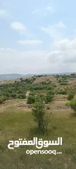  16 مزرعه  صغريه راقيه على قمه جبل مطله للغرب كوشان مستقل بسعر مميز جدا منطقه مزراع راقيه