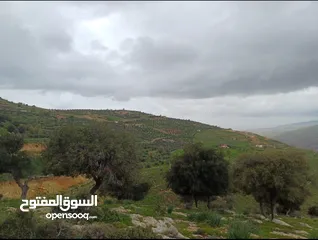  2 ارض للبيع بالصبيحي