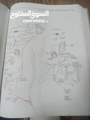  11 كتاب بعنوان biology