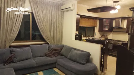  8 Furnished Apartment  Near Business Park  for rent