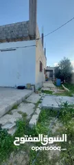  4 بيت مستقل للبيع في المفرق بلعما الزيتونه  قوشان مستقل  ومسور بلكامل مسطح 140 يبعد عن مدرسة البنات