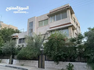  12 عمارة 8 شقق في العبدلي بجانب البوليفارد بدخل ممتاز للبيع بسعر الارض