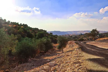  5 الأردن-عمان الغربيه - بدرالجديدة -الكاشف ارض مميزه للبيع 1200م باطلاله غربيه عاليه وجميله جدا
