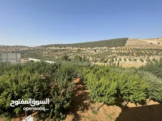  8 مزرعة و شاليه مميزة للبيع في منطقة الكمشة - الزرقاء