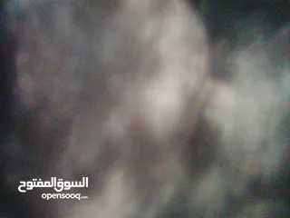  9 الواح فوم متعددة الاستعمال للديكور بسعر حرق حرق حرق حرق حرق حرق حرق حرق حرق حرق حرق حررررررررررررققق
