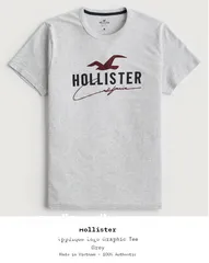  6 Original Hollister t-shirts form Germany 100%