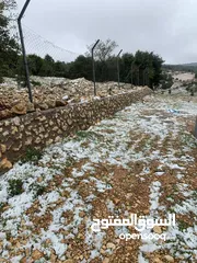  21 أرض ممتازة في جرش للسكن و للزراعة بقرب أحراش الدولة و سعر مغري  للمزيد من المعلومات اقرأ الوصف