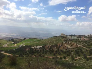  3 فيلا 500م على قطعة ارض (3,450م) 3دونم ونصف تقريبا مغاريب السلط ذات اطلالة مميزة جدا