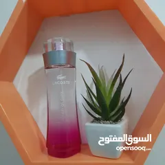  8 عطور حره اصلي