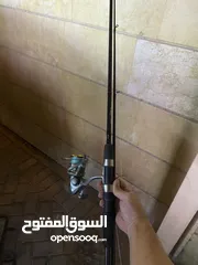  1 قصبة كاستنق